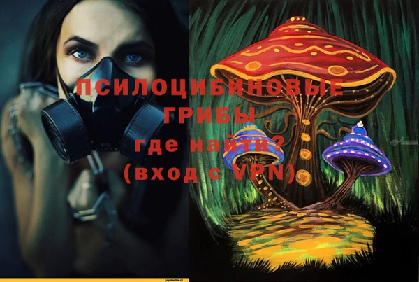 гашик Касимов