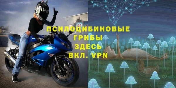 PSILOCYBIN Карпинск